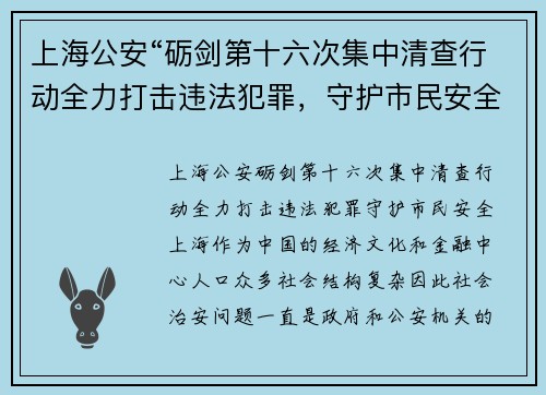 上海公安“砺剑第十六次集中清查行动全力打击违法犯罪，守护市民安全